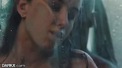 play হ্যালি রিডের ওয়েট অ্যান্ড ওয়াইল্ড আন্তজাতিক এনকাউন্টার