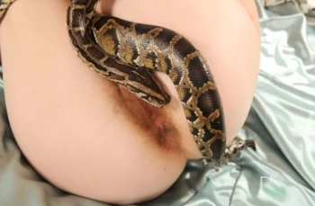 قناة Snake